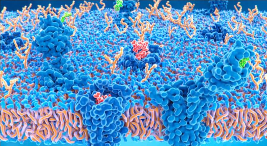 cannabinoides mineurs isoles.