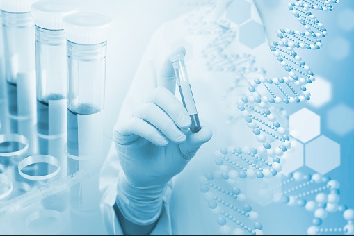 genome du cannabis 2