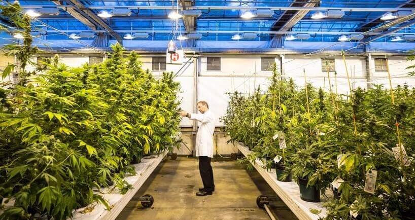 jazz pharma epidiolex