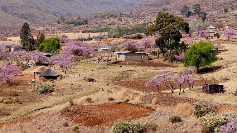 lesotho