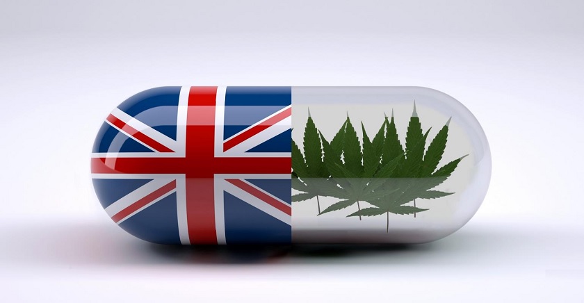 cbd market UK