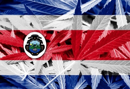 cannabis au costa rica 1