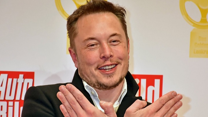 elon musk psychedelique