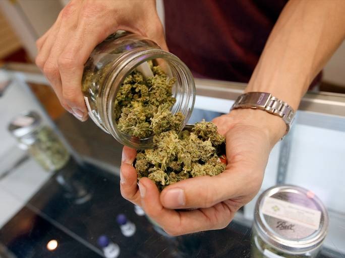 malte cannabis license