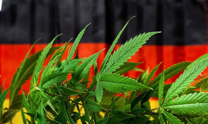cannabis en allemagne