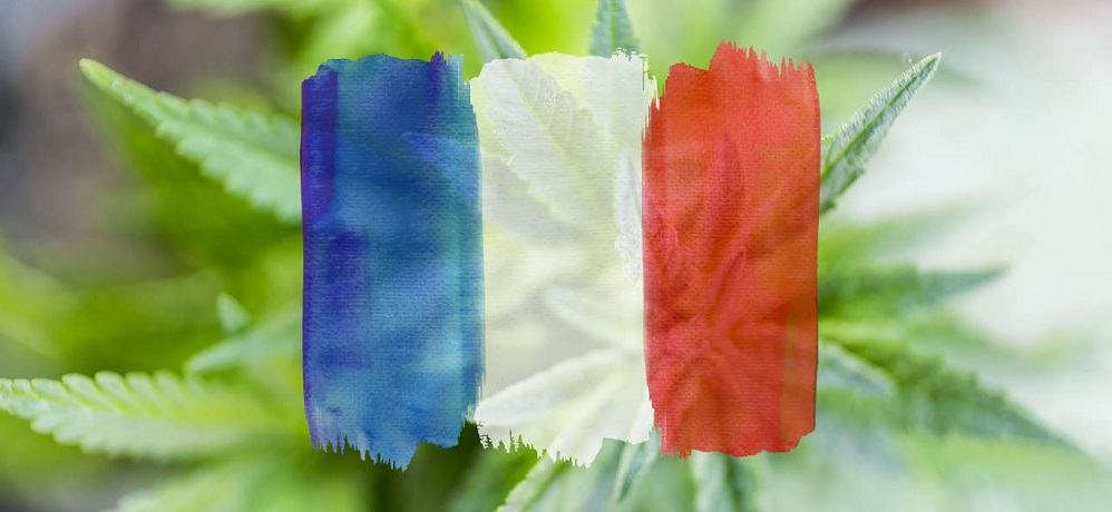 french cannabis
