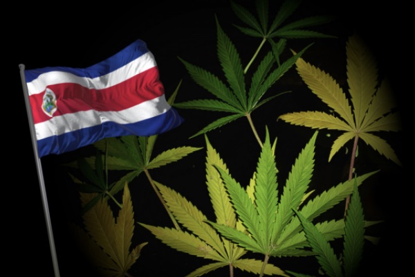 Costa Rica 1 legal