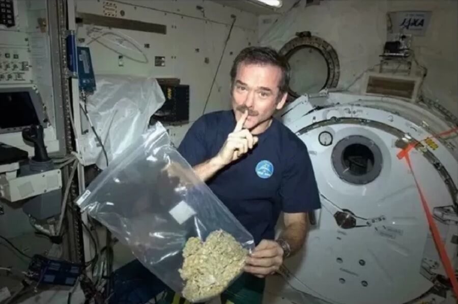 nasa cannabis