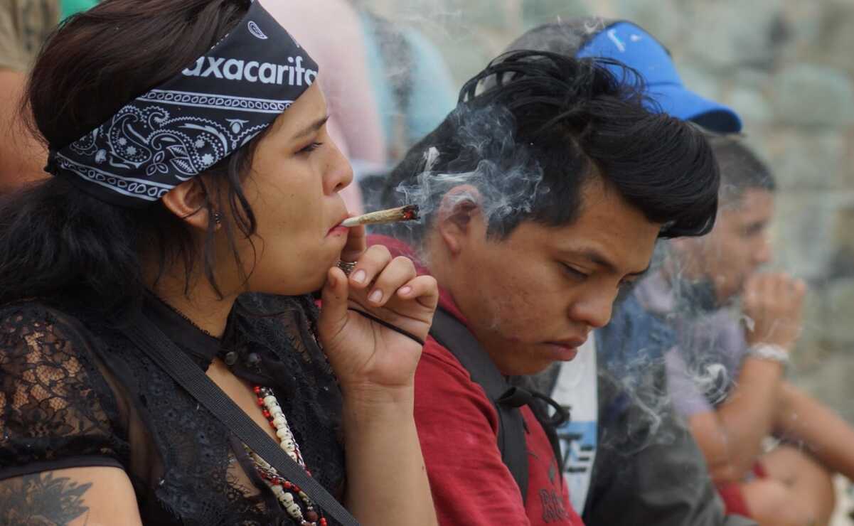 oaxaca recreatif cannabis