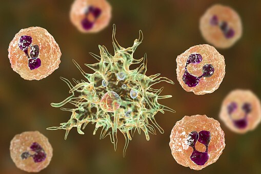 sang fluide cephalorachidien