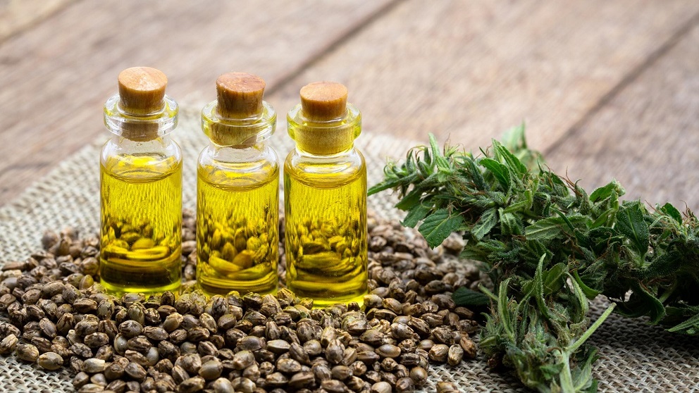 cannabis seeds cbd oil extract