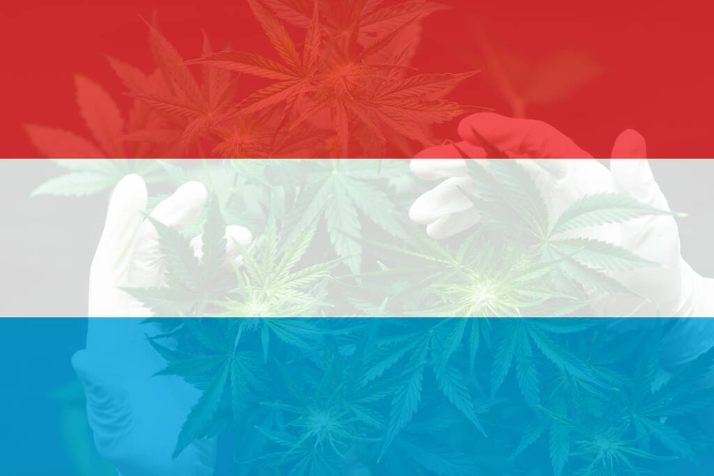 weed decriminalization in luxembourg. medical cannabis in the luxembourg.