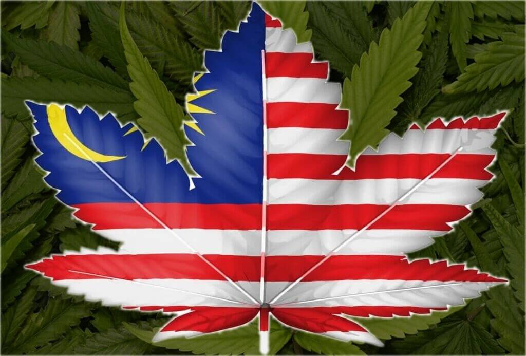 malaysia medical cannabis