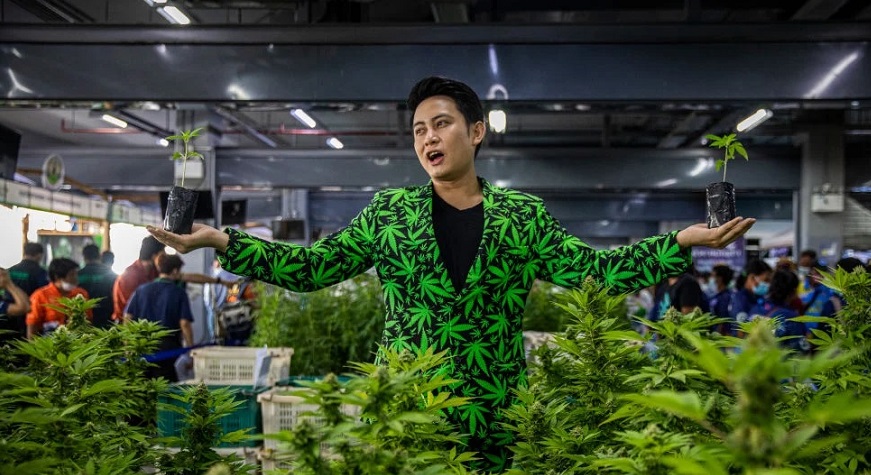 asia market weed