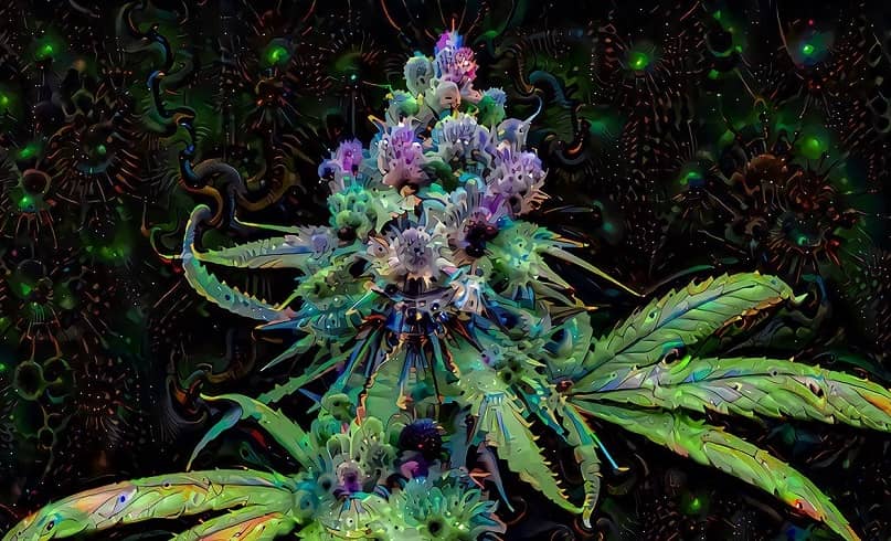 thc tétrahydrocannabinol