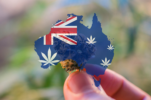 marijuana legalisation australia. medical marijuana