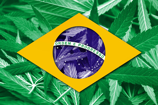 bresil cannabis