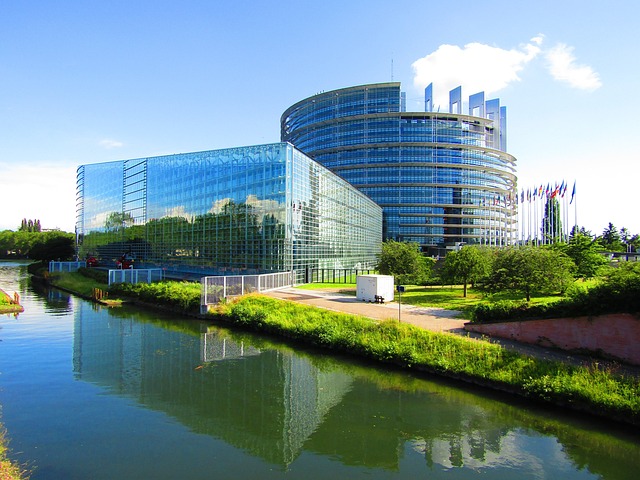 the european parliament
