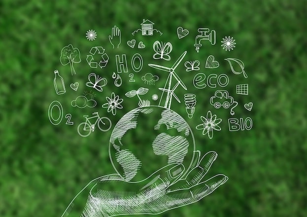 cannabis environment