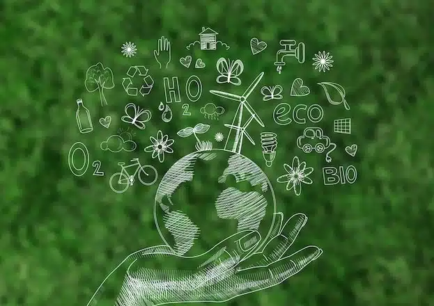 cannabis environment