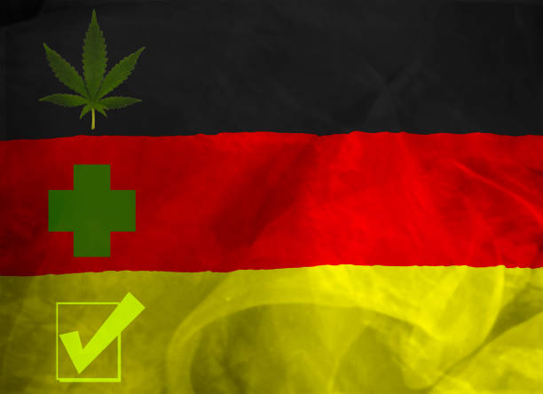 L'Allemagne Donne le Feu Vert à la Légalisation du Cannabis, Jetant les Bases d'une Réforme Nationale