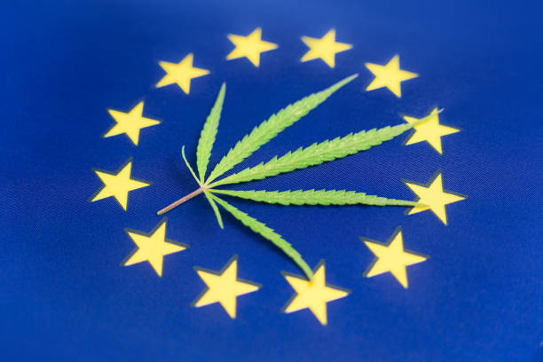 L'Union européenne avance vers une réforme du cannabis
