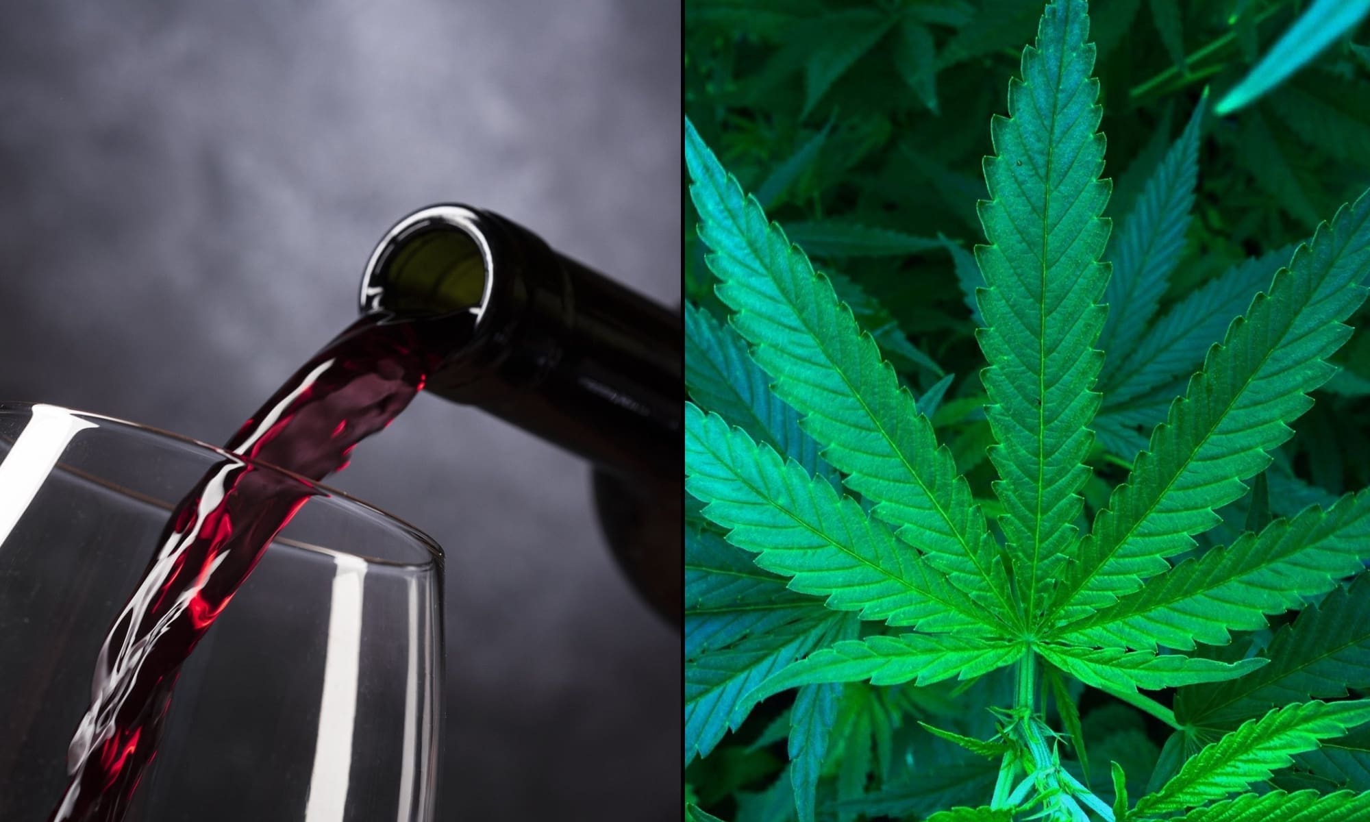 credit marijuanamoment 20251028192703