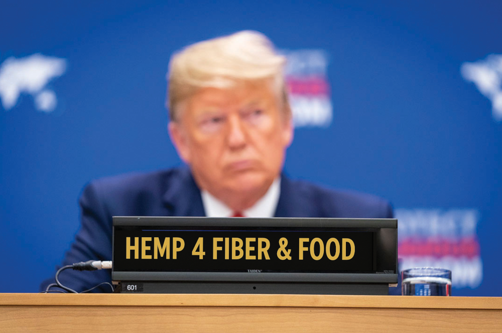 credit hemptoday 20251114114839