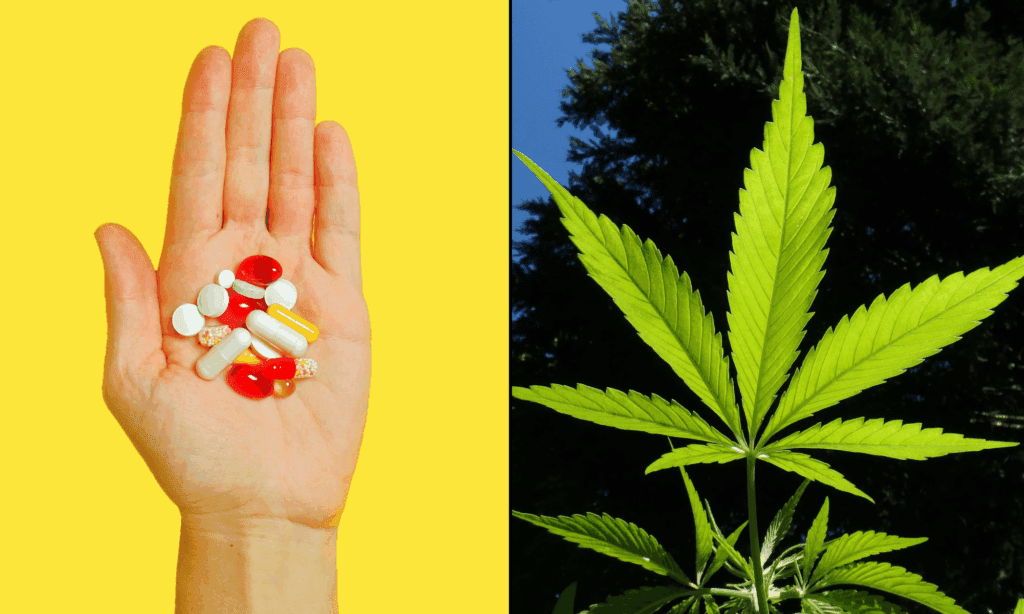 credit marijuanamoment 20251102120011