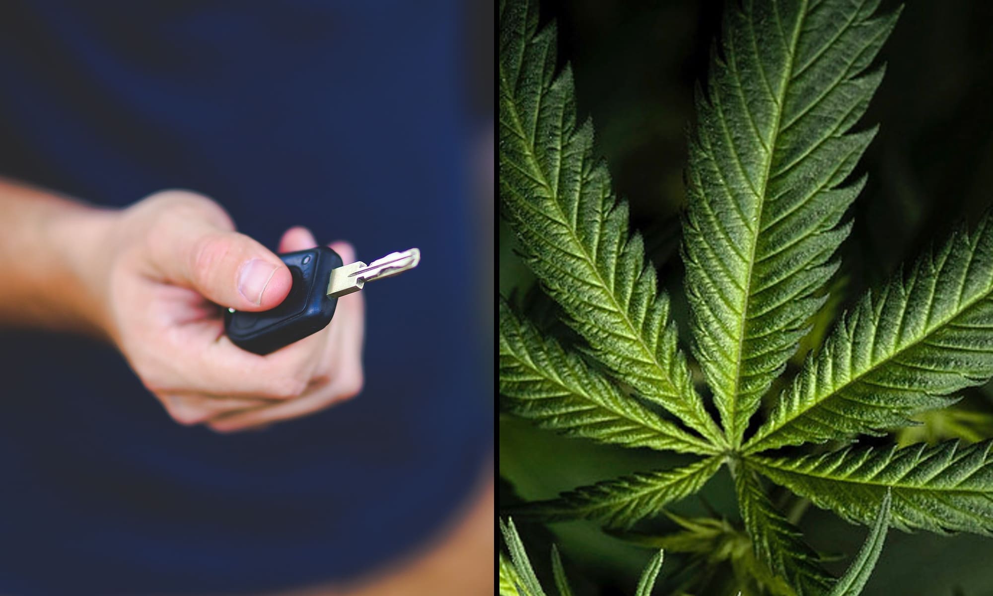 car keys marijuana