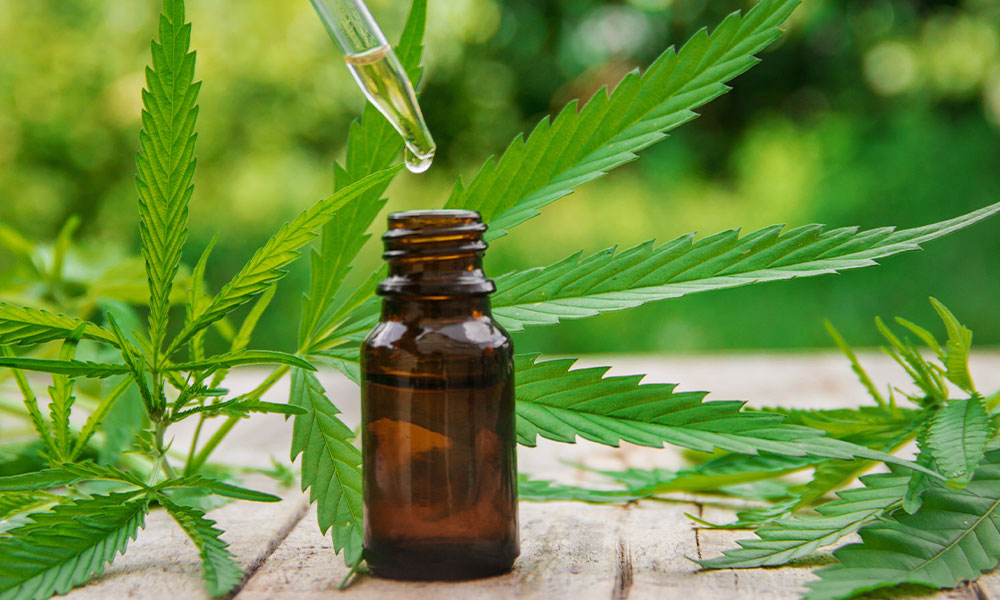 cbd oil
