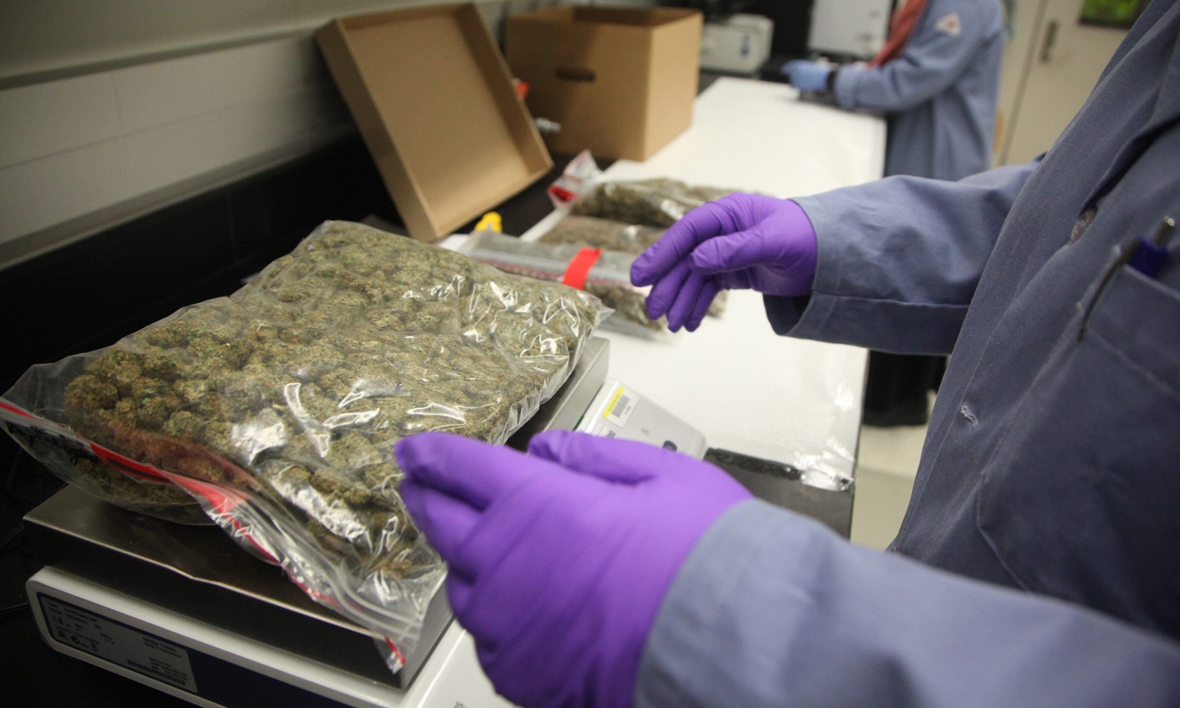 marijuana scale lab test e1610659399215