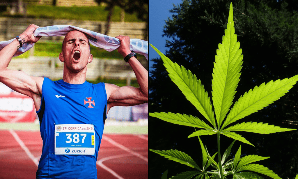 olympic athlete runner sports marijuana cannabis 1024x614