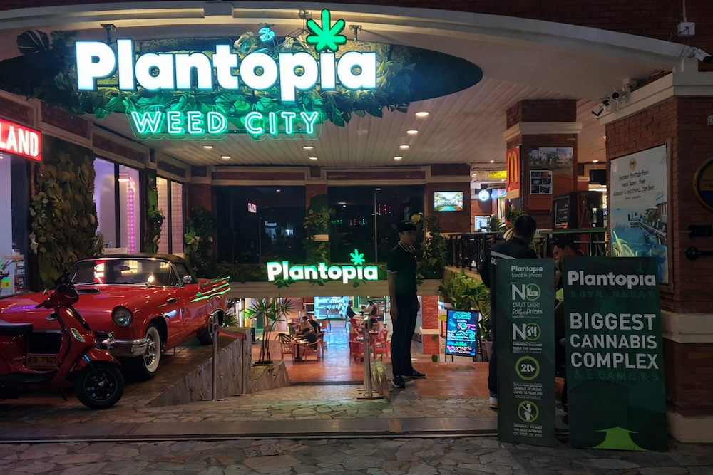 thailand weed shop