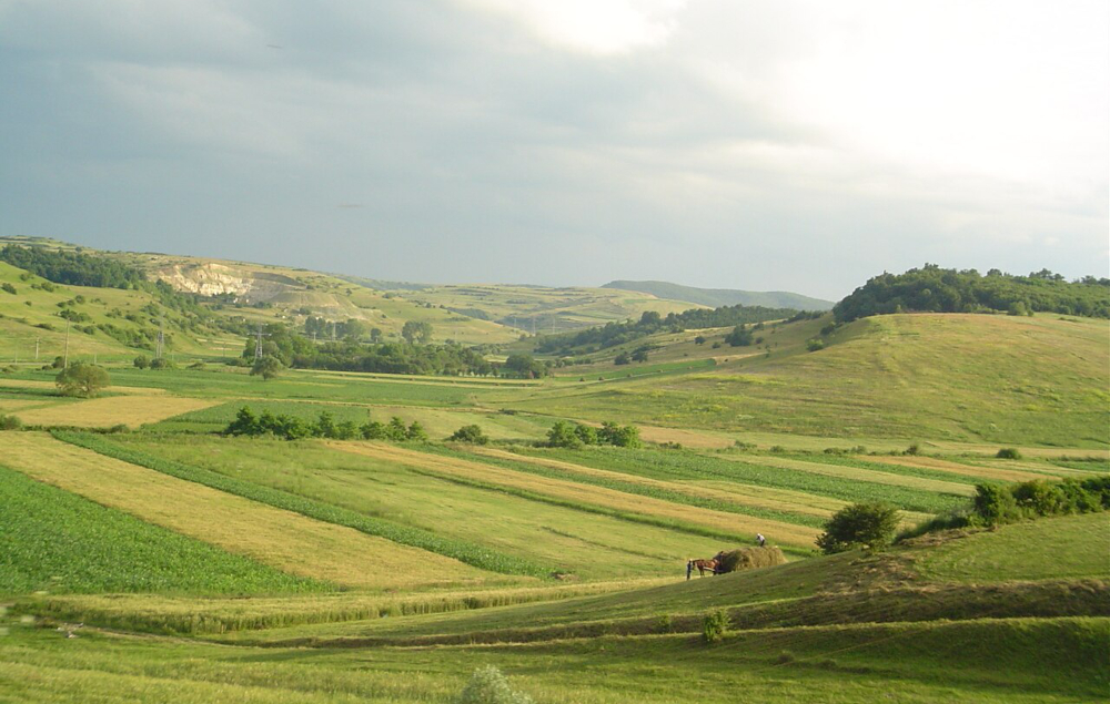meres river basin