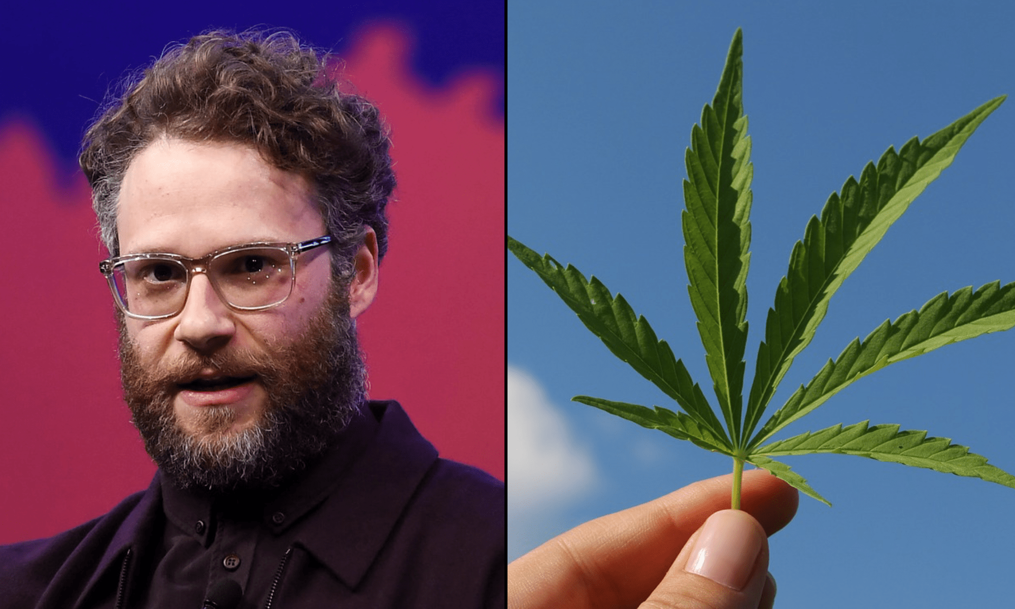 seth rogen marijuana