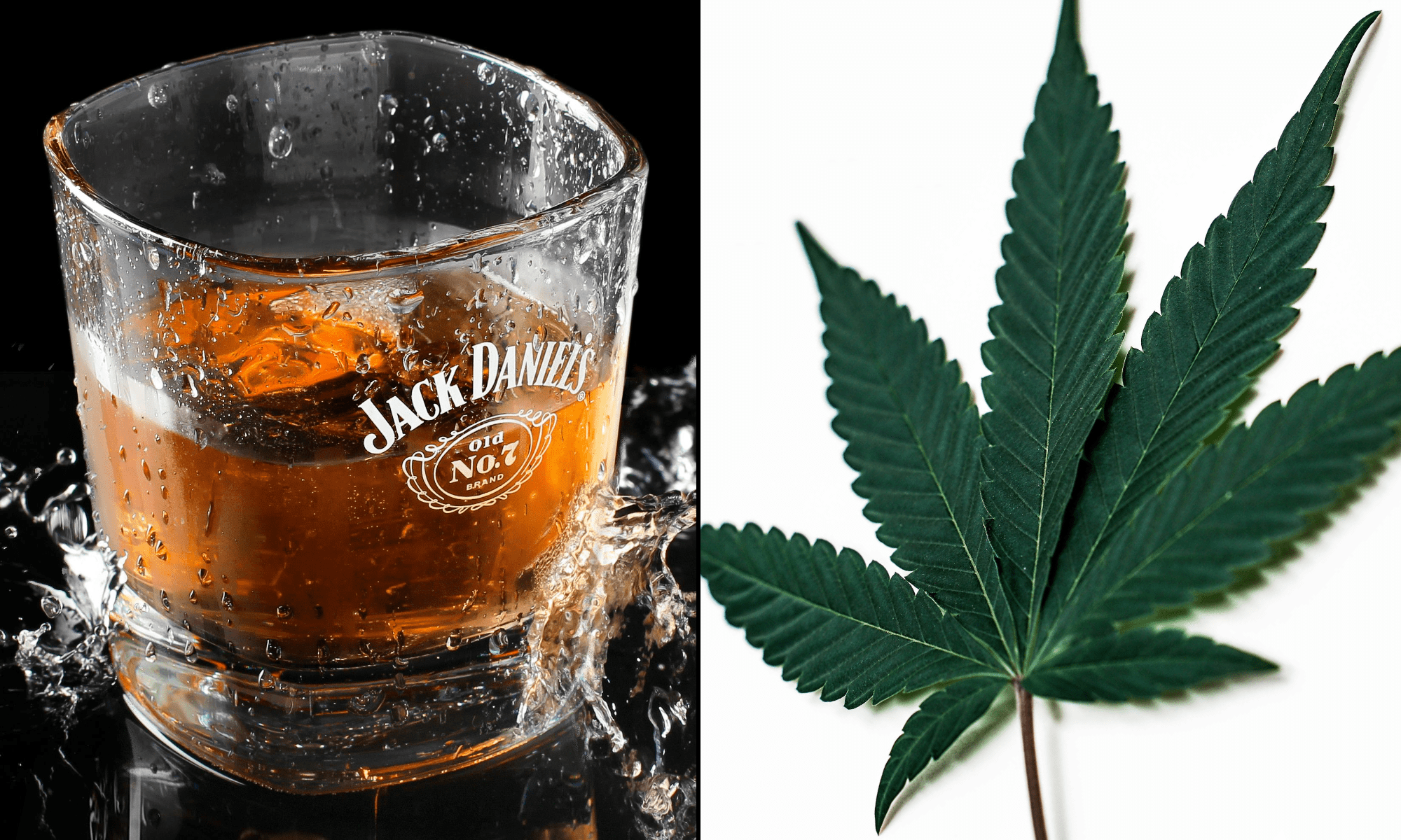 whiskey alcohol marijuana cannabis