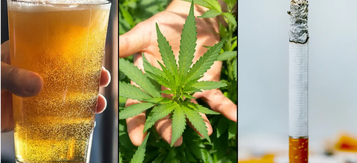 alcohol tobacco marijuana cannabis beer cigarette