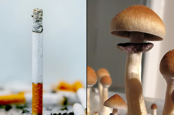 La psilocybine aide les gens à arrêter de fumer plus efficacement que les patchs à la nicotine, selon une étude publiée par l'American Medical Association