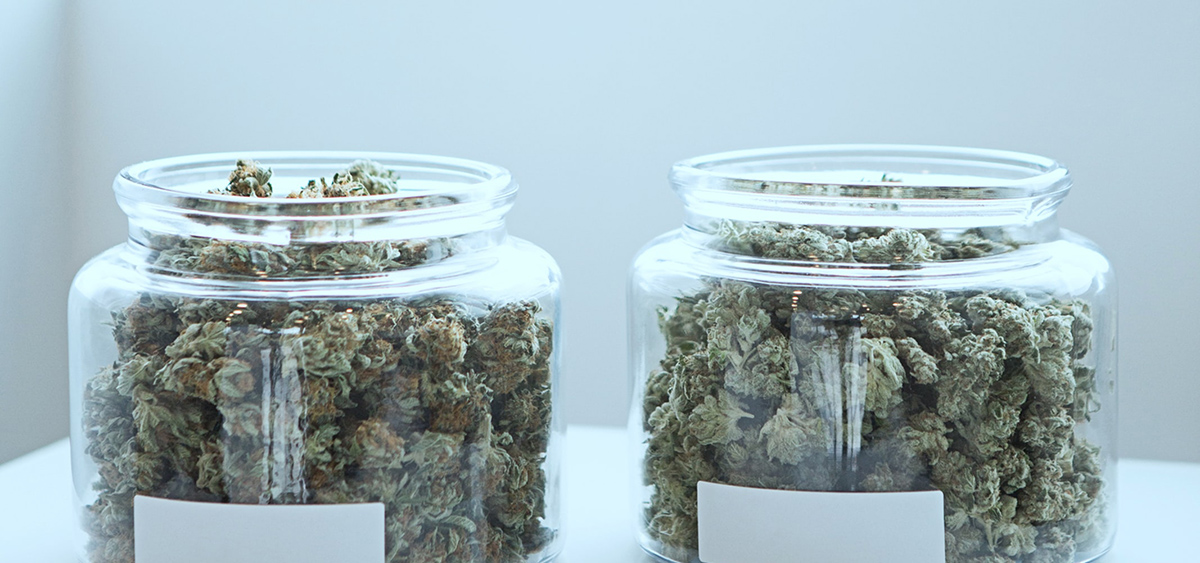 Les employés des magasins de cannabis se joignent à la grève en Colombie-Britannique