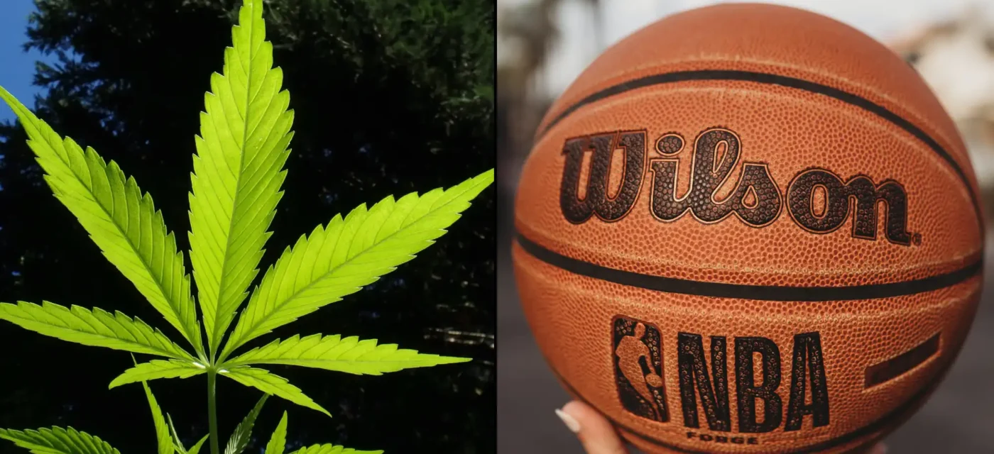 nba basketball marijuana