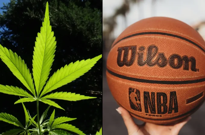 nba basketball marijuana