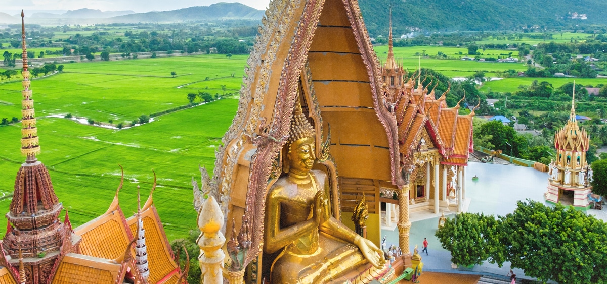 Le champion des réformes de décriminalisation du cannabis en Thaïlande devient Premier ministre