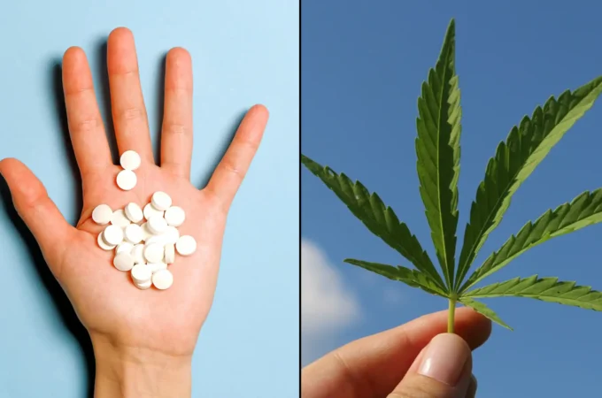 Une étude montre que le cannabis médical aide les gens à arrêter de consommer des opioïdes, des somnifères et d'autres médicaments sur ordonnance