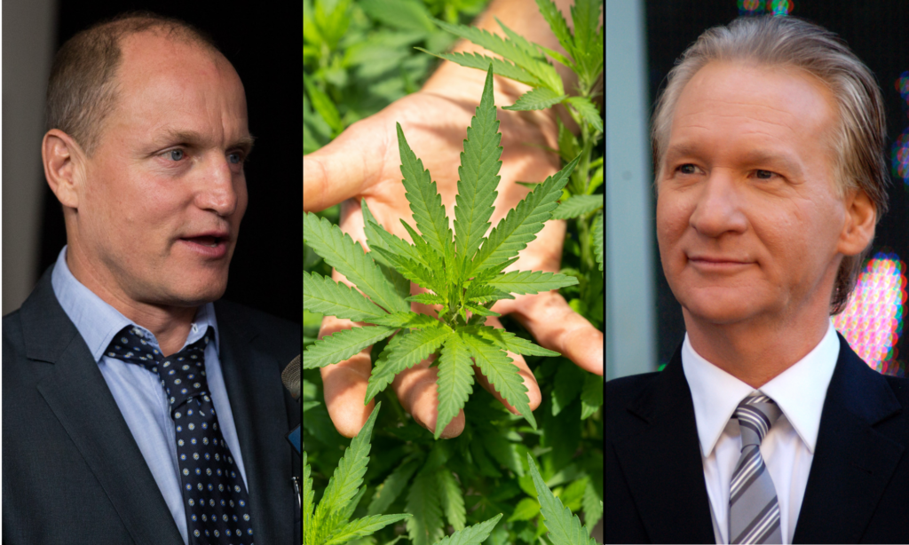 Woody Harrelson et Bill Maher se plaignent que les taxes sur le cannabis sont trop élevées tout en fumant des joints dans le dispensaire qu'ils possèdent ensemble