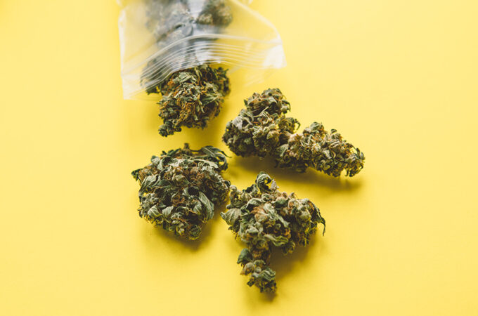 La police canadienne conteste les allégations selon lesquelles des dispensaires non agréés seraient impliqués dans le trafic d'armes et la traite des êtres humains