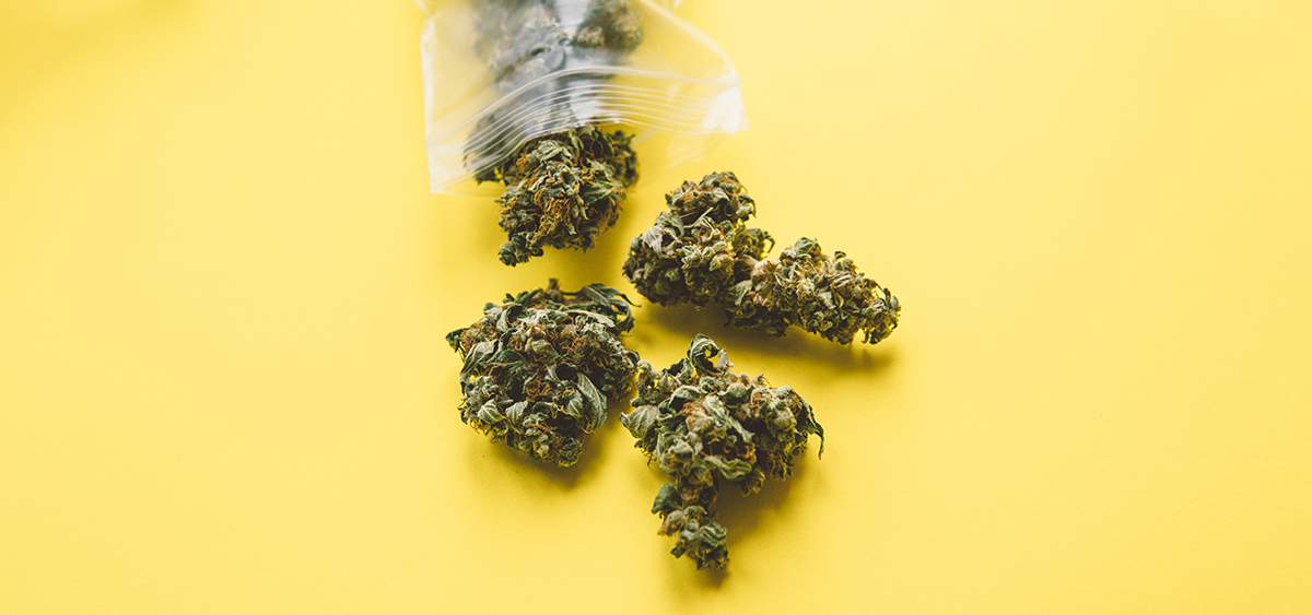 La police canadienne conteste les allégations selon lesquelles des dispensaires non agréés seraient impliqués dans le trafic d'armes et la traite des êtres humains