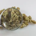 composants marijuana - Les composants de la marijuana ont des effets antitumoraux «
