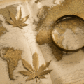 Légalisation cannabis dans le monde : le guide 2026