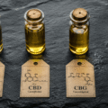 Cannabinoïdes : le guide complet 2026